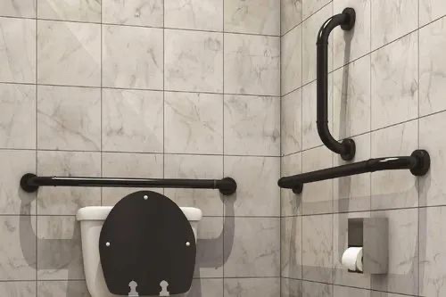 IMG_0355 toilet with black railings - tile cleaning